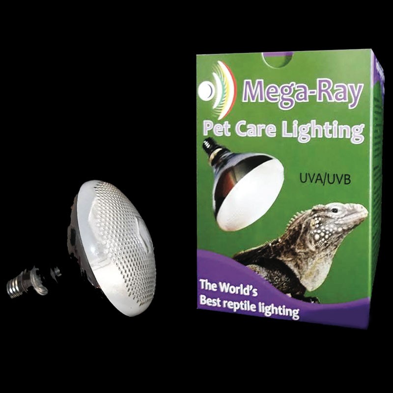 Mega ray reptile bulb sale