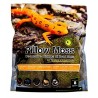 Pillow Moss - 8 qt (Galapagos)