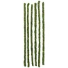 Mossy Sticks - 18" - 6pk (Galapagos)