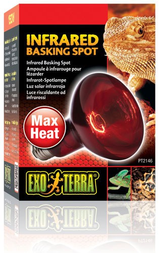 exo terra infrared basking spot 50w